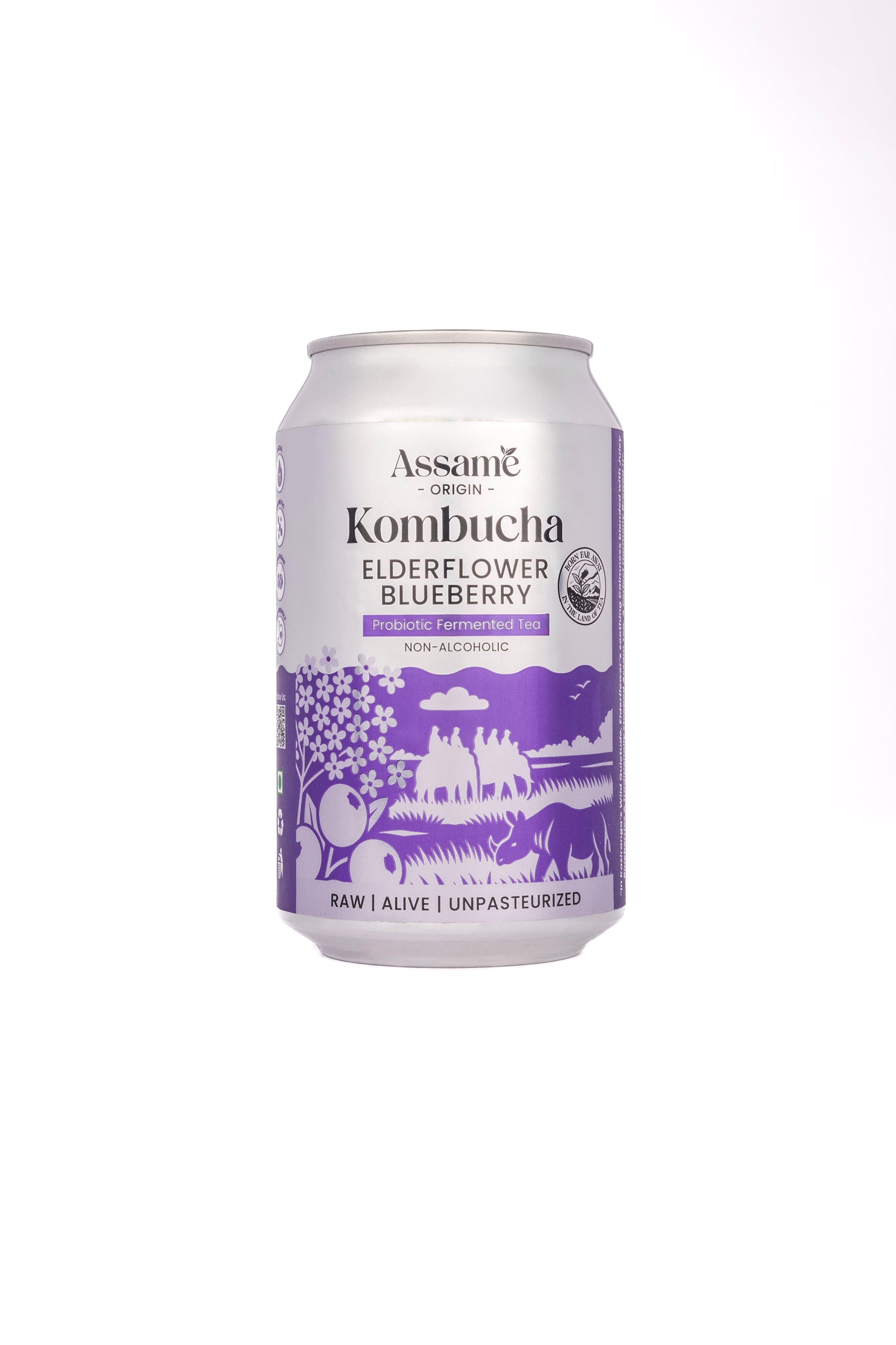 ElderFlower Blueberry (Pack of 6 & 24)