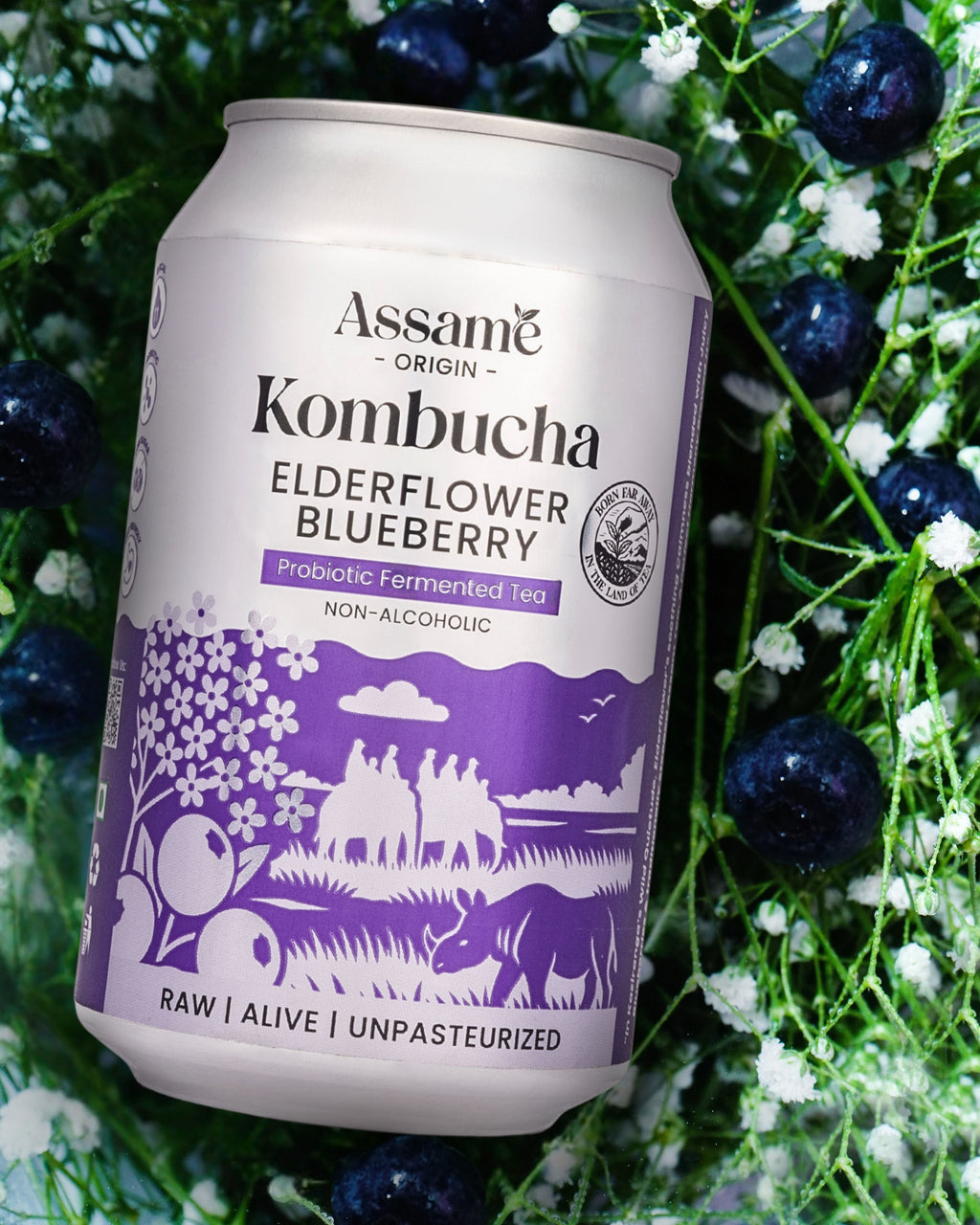 ElderFlower Blueberry (Pack of 6 & 24)