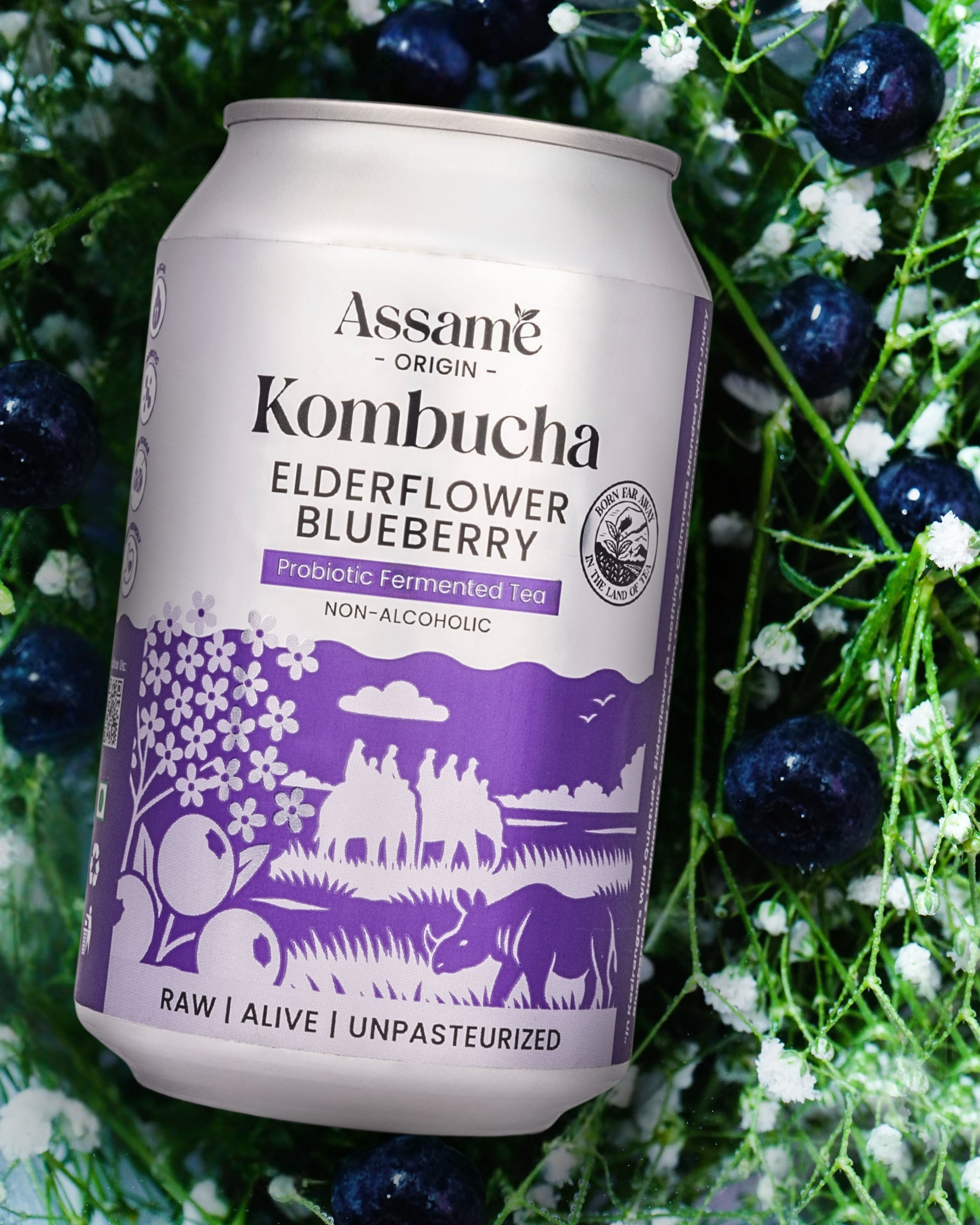 ElderFlower Blueberry (Pack of 6 & 24)