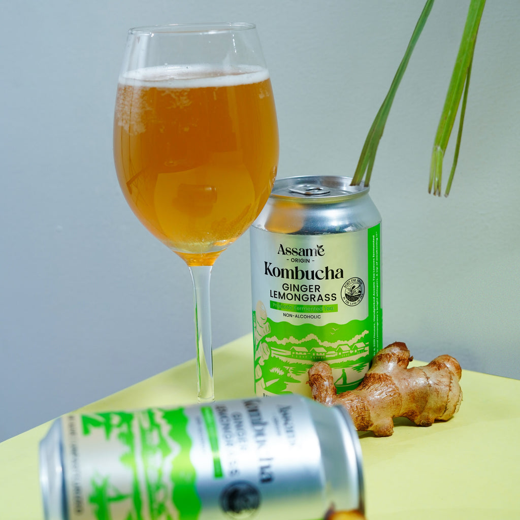 Ginger Lemongrass (Pack of 6 & 24)