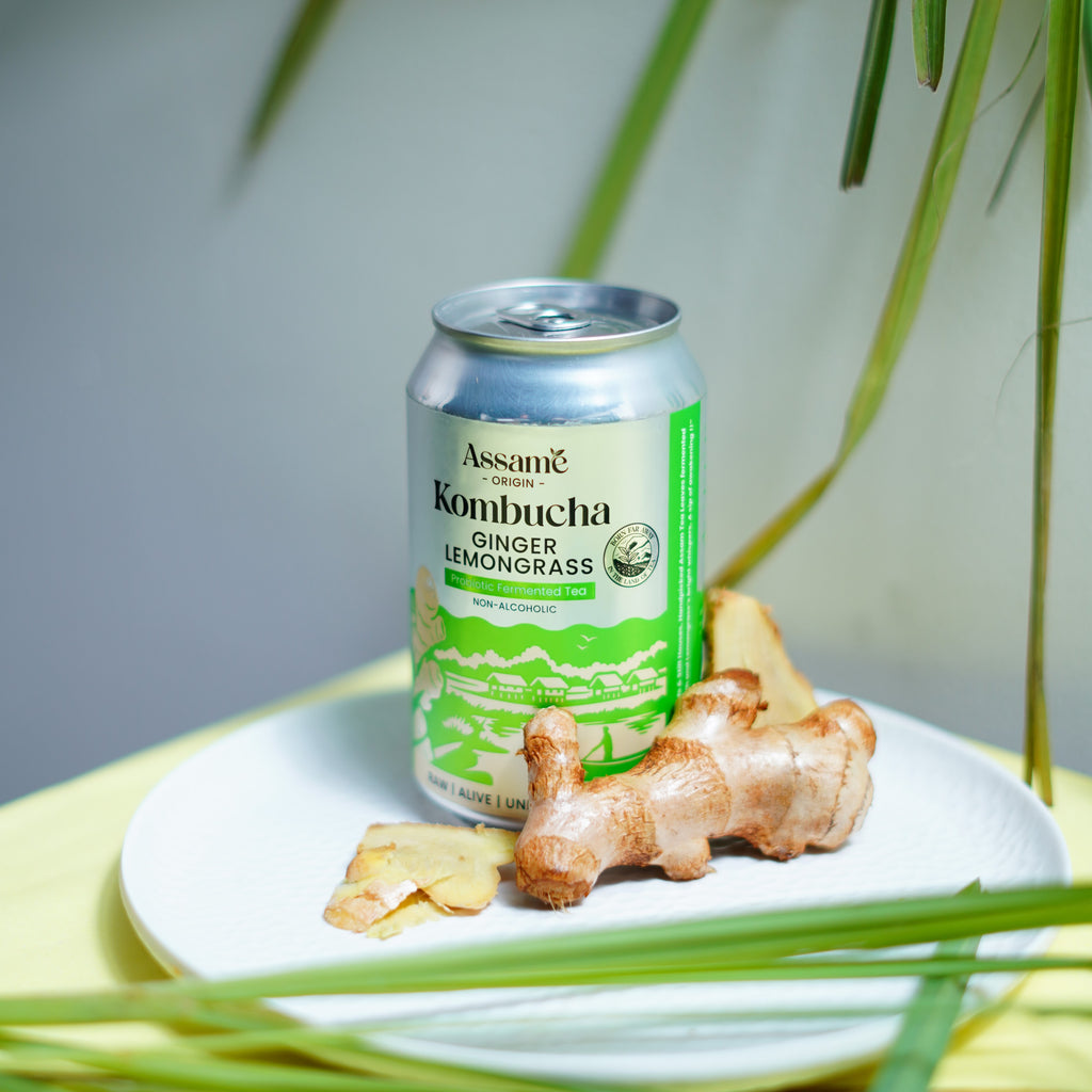 Ginger Lemongrass (Pack of 6 & 24)