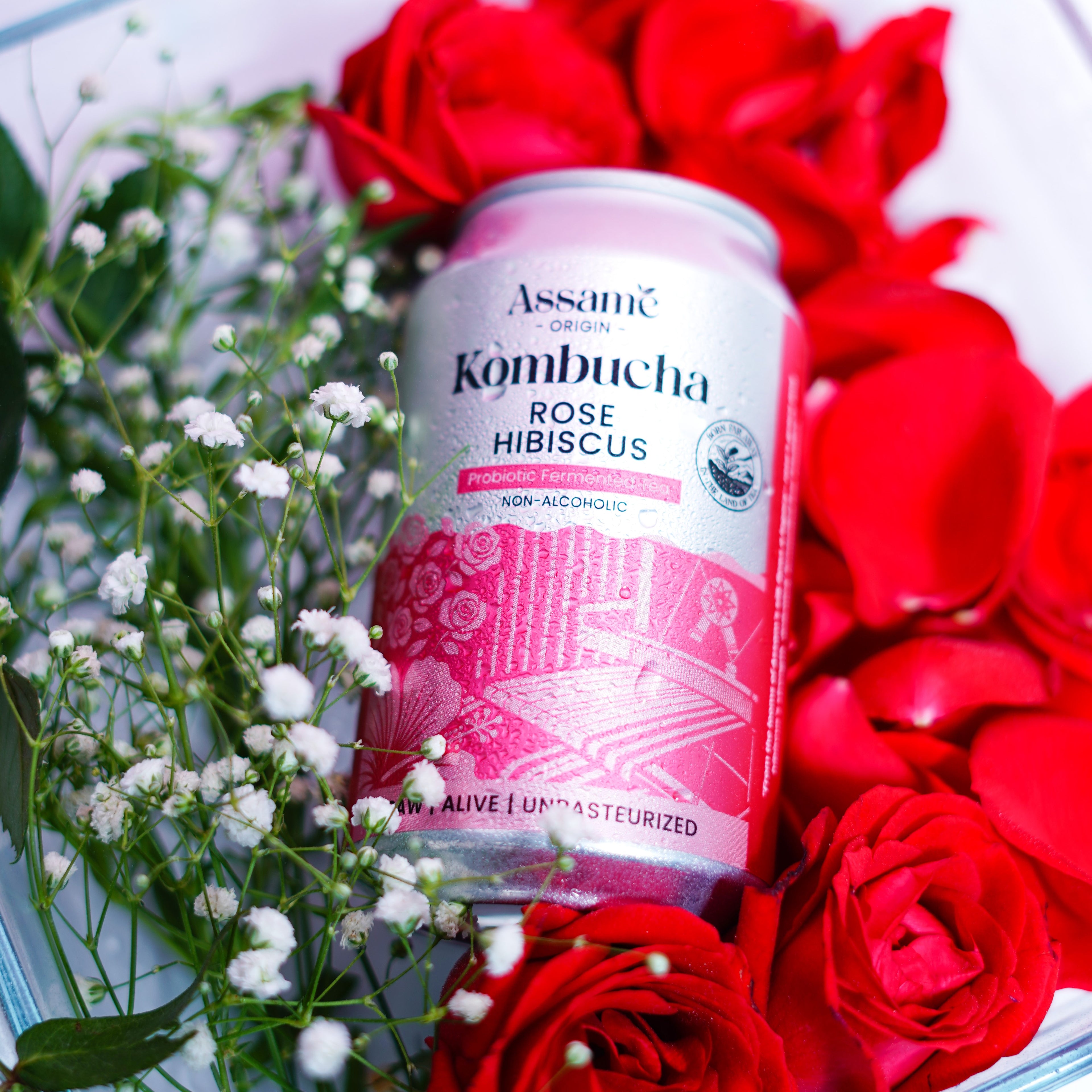 Rose Hibiscus (Pack of 6 & 24)