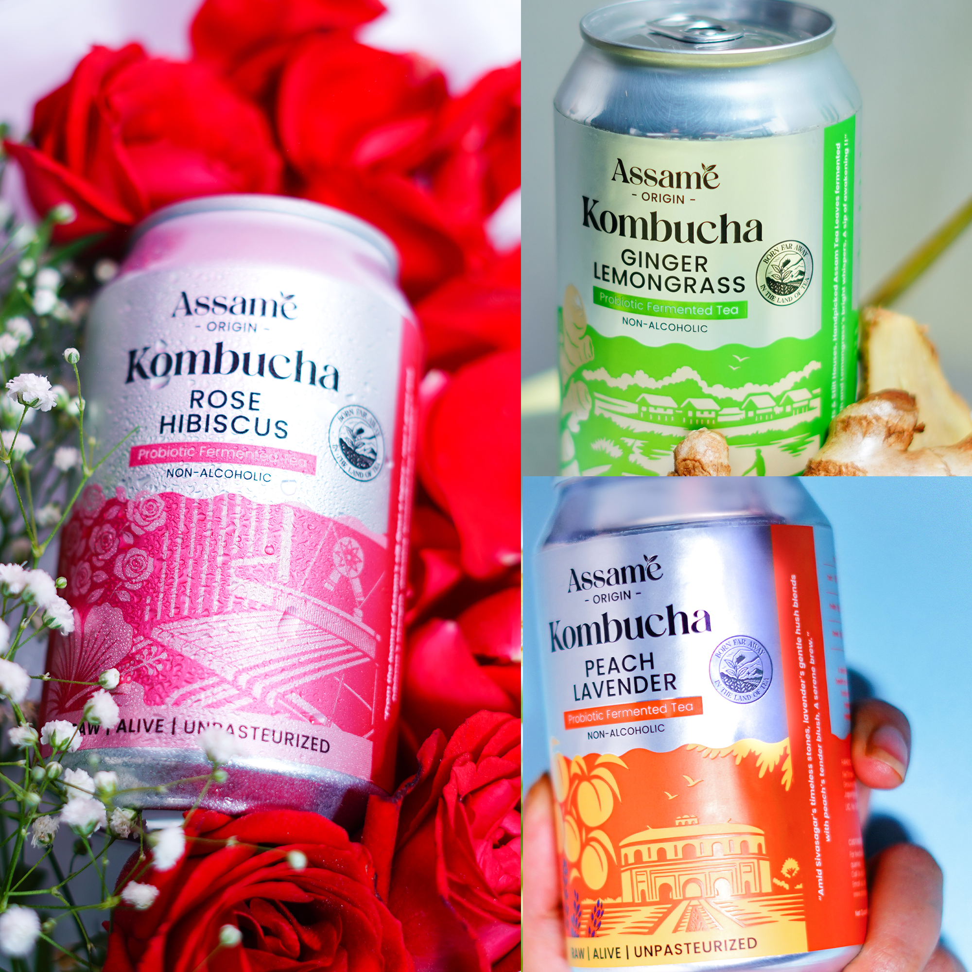 The Botanica Trio