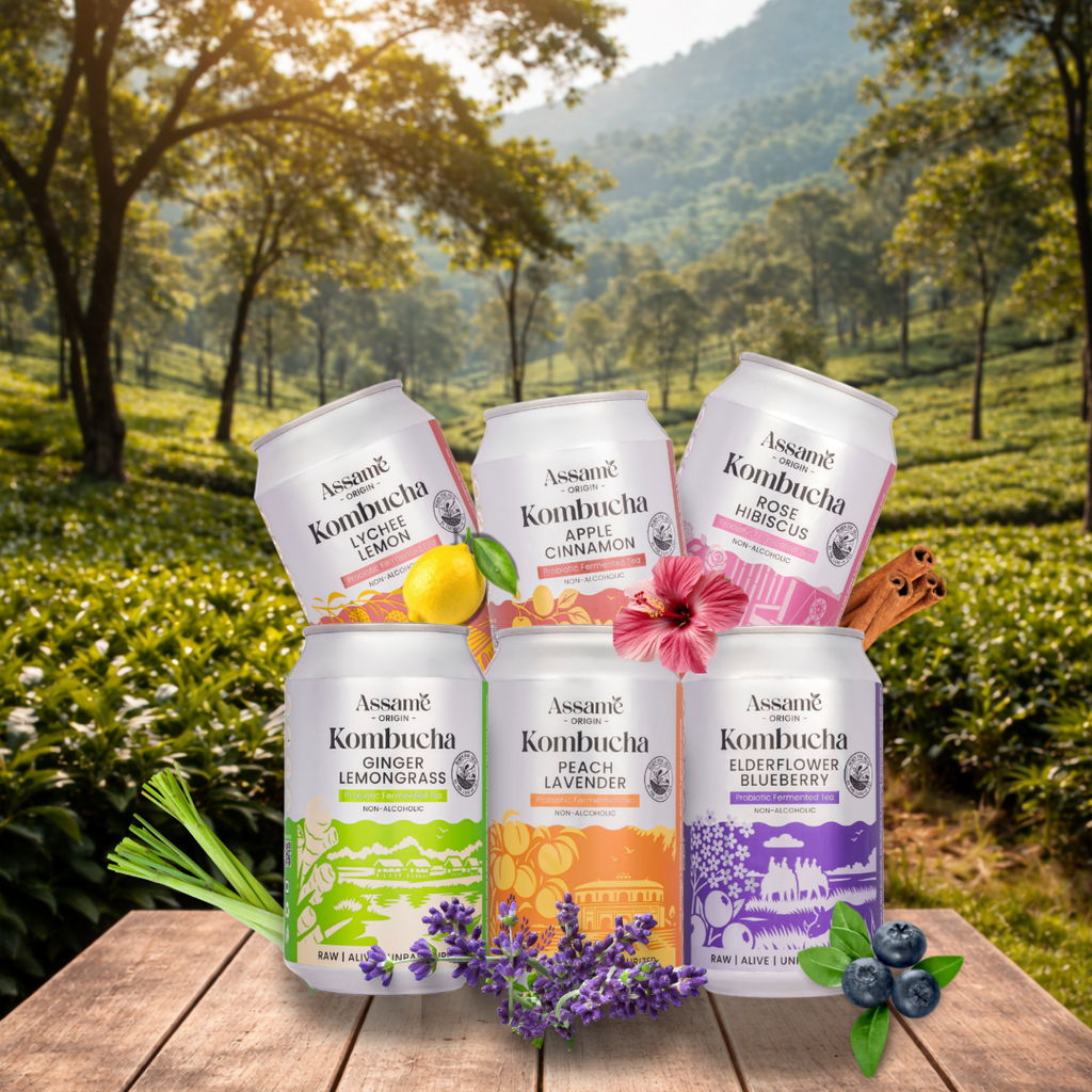 The Assamè Collection (Pack of 6 & 24)